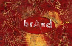 Best Branding Agency in Miami